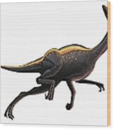 Artwork Of An Ornithomimus Dinosaur Wood Print