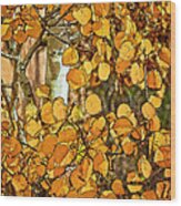 Aspens Gold Wood Print