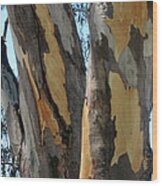 Australian Tree Wood Print