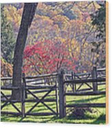 Autumn Fences Wood Print