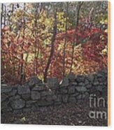 Autumn In New England Wood Print