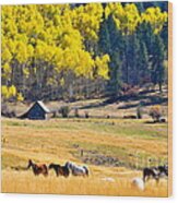 Autumn In Pagosa Wood Print