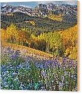 Autumn In The Wasatch Mountains Wood Print