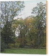 Autumn Landscape In Massachusetts Wood Print