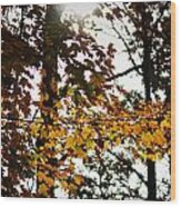 Autumn Leaves Wood Print