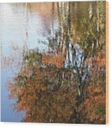 Autumn Trees Reflecting Wood Print