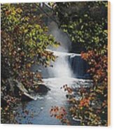 Autumn Waterfall Wood Print