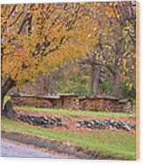 Autumn Woodpile Wood Print