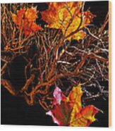 Autumnal Feelings Wood Print