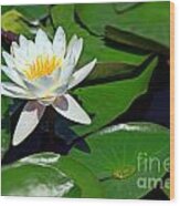 Backyard Lily Wood Print