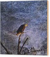 Bald Eagle In Suspense Wood Print