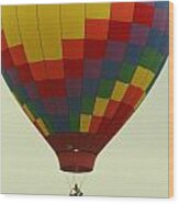 Balloon Ride Wood Print