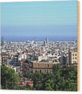 Barcelona Close Up View From Park Guell In Spain Wood Print