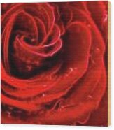 Beautiful Abstract Red Rose Wood Print