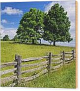 Beautiful Virginia Pasture Wood Print