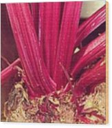 Beet Stalk Wood Print