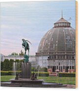 Belle Isle Anna Scripps Whitcomb Conservatory And Leaping Gazelle Statue By Marshall Fredericks Wood Print