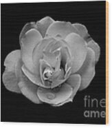 Black And White Rose Wood Print