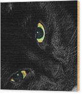 Black Cat With Green Eyes Wood Print