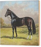 Black English Horse Wood Print