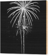 Blooming In Black And White Wood Print