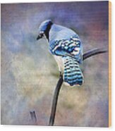Blue Jay Blue Jay Sing Me A Song Wood Print