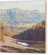 Blue Mountains Valley Wood Print