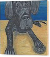 Blue The Great Dane Pup Wood Print