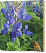 Bluebonnets And Bees Wood Print
