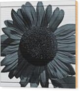 Blues Sunflower Wood Print