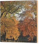 Boston Public Gardens In Autumn Wood Print