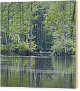 Brock Mill Pond Wood Print