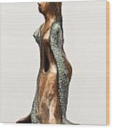 Bronze Hollow Lady In Gown Left View 3 Sculpture In Bronze And Copper Green Long Hair Wood Print