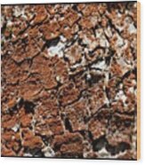 Brown Bark #pdx #portland #portlandia Wood Print