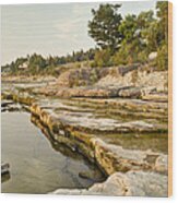 Bruce Peninsula Ontario Landscape Wood Print