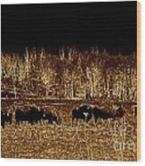 Buffalos Roaming Wood Print