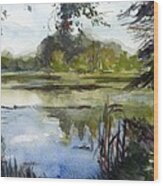 Burnt Mill Pond In Late Summer Wood Print