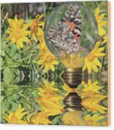 Butterfly In A Bulb Ii - Landscape Wood Print