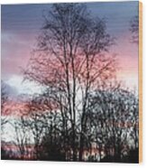 Butterfly Wings Of Pink In The Sky Wood Print
