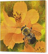 Buzzy The Honey Bee Wood Print