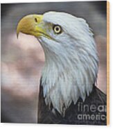 By The Light Of The Silvery Moon - Bald Eagle Wood Print