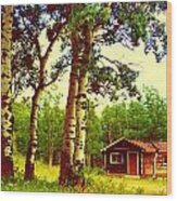 Cabin And Birch Trees Wood Print