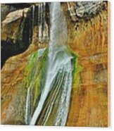 Calf Creek Falls Ii Wood Print