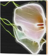 Calla Lily Art Wood Print