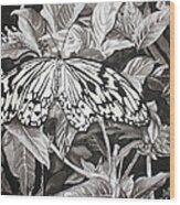 Callaway Paper Kite Butterfly Wood Print