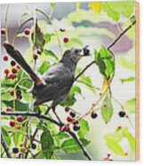 Catbird With Berry Ii Wood Print