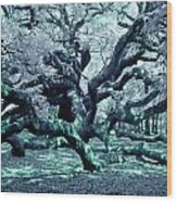 Charleston's Angel Oak Tree Ir Wood Print