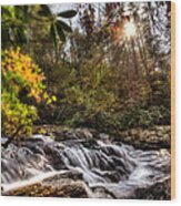 Chauga Narrows Waterfall Wood Print