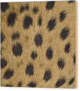 Cheetah Spots Namibia Wood Print