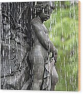 Cherub Bethesda Fountain 4 Wood Print